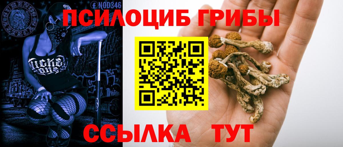 Псилоцибиновые грибы MAGIC MUSHROOMS Дюртюли