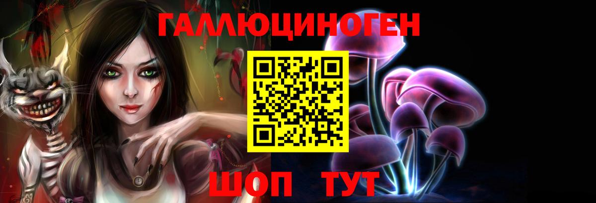 Дюртюли  Псилоцибиновые грибы Psilocybine cubensis  Вход с VPN 